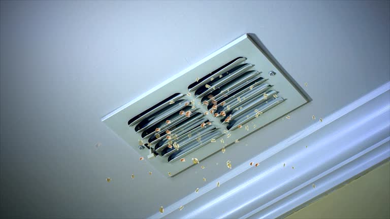 Best Duct Cleaning for Homes  in Fort Atkinson, WI