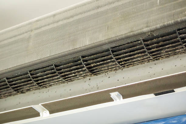 Best General Air Duct Cleaning  in Fort Atkinson, WI